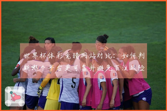 世界杯体彩竞猜网站对比：如何判断哪个平台更可靠并避免下注风险