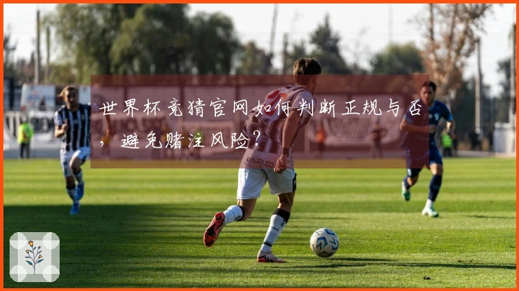 世界杯竞猜官网如何判断正规与否，避免赌注风险？